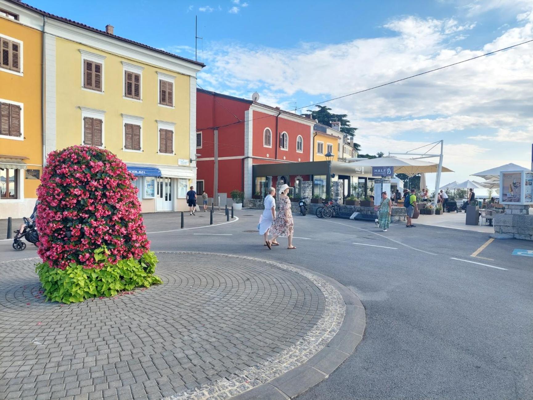 Novigrad IstriaLeona公寓 外观 照片