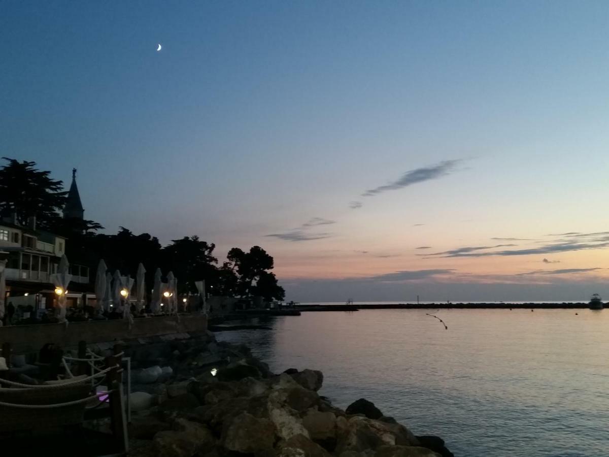 Novigrad IstriaLeona公寓 外观 照片
