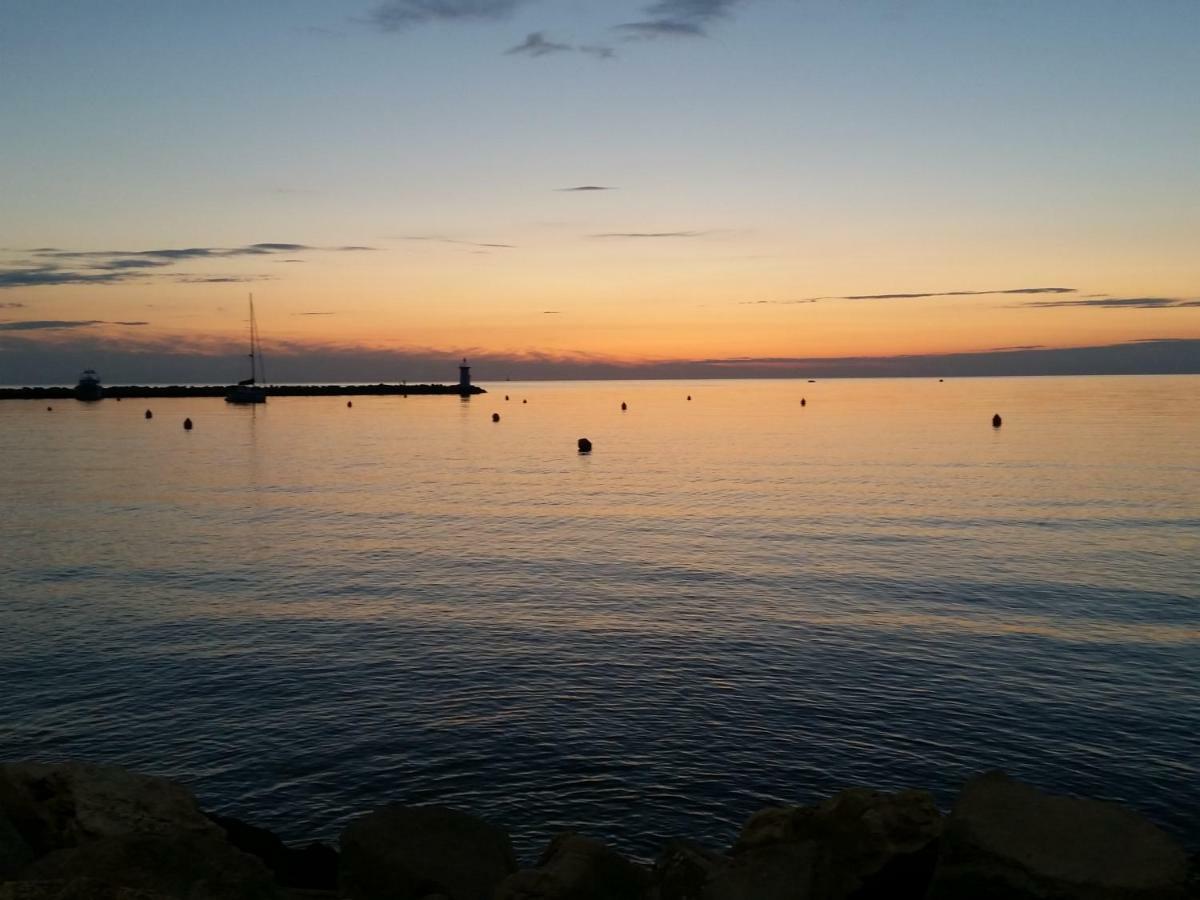 Novigrad IstriaLeona公寓 外观 照片