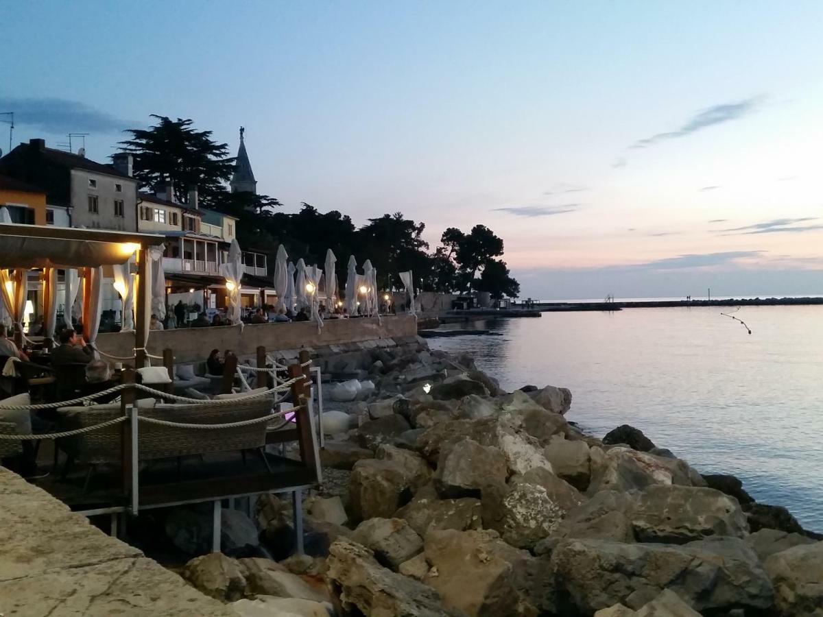 Novigrad IstriaLeona公寓 外观 照片